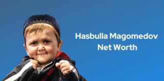 hasbulla magomedov net worth