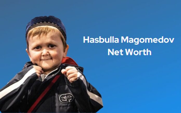 hasbulla magomedov net worth