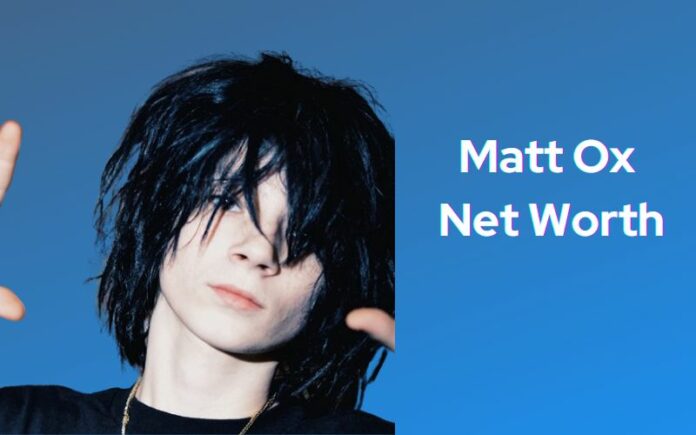 Matt Ox Net Worth