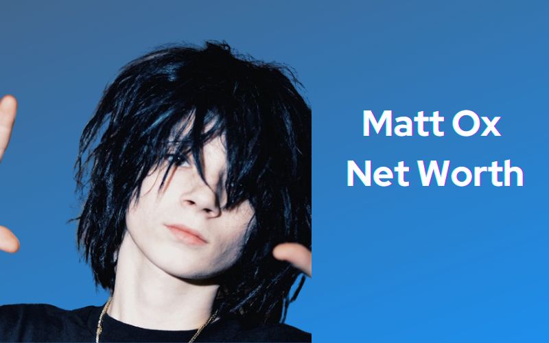 Matt Ox Net Worth